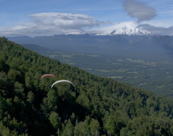 Araucania