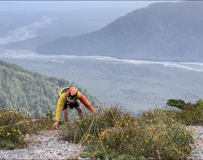 wild, patagonia